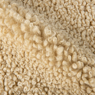 Tricot de malha 100% poliéster Teddy Velvet para roupas de mulher sexy
