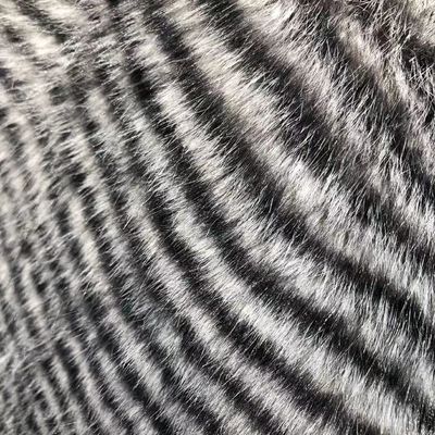 Material de frente 100% poliéster Tecidos de pele falsa para vestuário de inverno em várias densidades