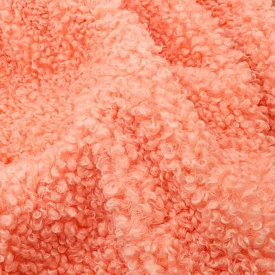 Casaco de Mulheres 300GSM Teddy Fleece Tecido Soft Shell Custom Color 100% Poliéster Amostra Grátis