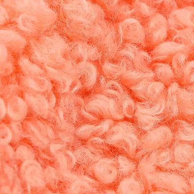 Casaco de Mulheres 300GSM Teddy Fleece Tecido Soft Shell Custom Color 100% Poliéster Amostra Grátis