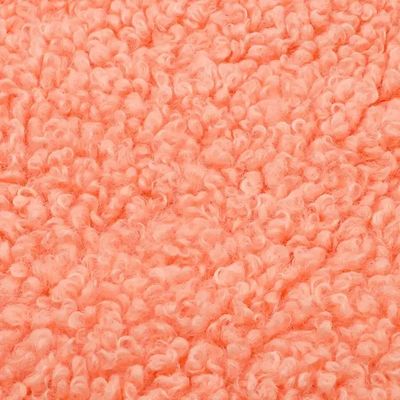 Casaco de Mulheres 300GSM Teddy Fleece Tecido Soft Shell Custom Color 100% Poliéster Amostra Grátis