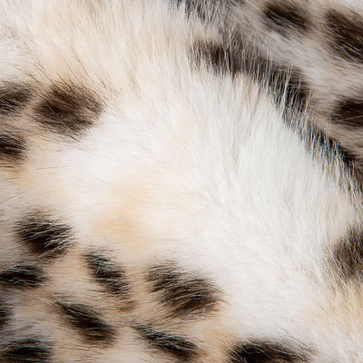 1050g/m Impressão animal Long Pile Fabric False Fur com Leopard Impressão Mink Fur